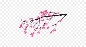 Usually, it has a pink and white blossoms. Cherry Blossom Clip Art Kirschblute Png Herunterladen 500 500 Kostenlos Transparent Rosa Png Herunterladen