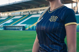 Check spelling or type a new query. Novidade Camiseta Casual Alusiva Ao Centenario Linha Torcedor Figueirense Futebol Clube