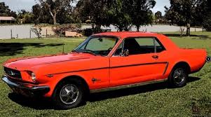 Image result for Poppy Red 1964 Mustang