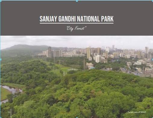 Sanjay Gandhi National Park | EcoTourism