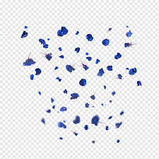 We did not find results for: Blume Picsart Studio Aufkleber Bearbeiten Schwimmend Adobe After Effects Android Bereich Png Pngwing