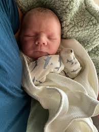 Melissa Knuth (@knuthmelissa) · Instagram photos and Reels