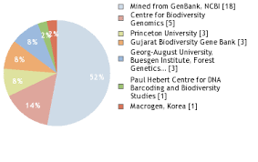 Image result for Ampelocissus obtusata