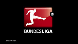 Image result for bundesliga logo 2015