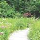 Habitat Walk