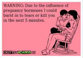 Pregnancy | Armyliving13&#39;s Blog via Relatably.com