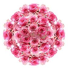 Fresh cut flowers wholesale near me. Amazon Com Globalrose 150 Fresh Cut Pink And White Roses Fresh Flowers Wholesale Delivery Fresh Cut Format Rose Flowers Grocery Gourmet Food