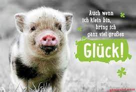 Viel glück für die prüfungen. Viel Erfolg Prufung Bilder Spruche Gluck Silvester Spruche Lustig Silvester Lustig