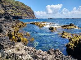 Image result for Ferraria