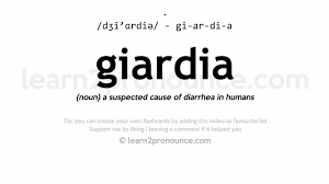 What kind of filter is needed for giardia? Pronunciation Of Giardia Definition Of Giardia Youtube