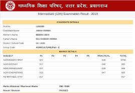 Students can easily find high school. Up Board Result 2021 Date And Time For Class 10 12 Know How To Check Upmsp Result Here