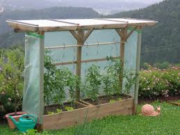 Tomatenbeet Mit Uberdachung Aus Kesseldruckimpragniertem Holz Tomaten Garten Garten Hochbeet Gartengestaltung