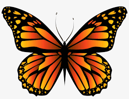 Black and brown monarch butterfly, monarch butterfly insect, monarch butterfly, brush footed butterfly, insects png. Orange Butterfly Png Clipar Image Monarch Butterfly Transparent Png 600x445 Free Download On Nicepng