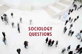 Obtain prompt feedback and results to ascertain how well you did. 100 Sociology Questions And Answers Sociology Of Education Questions And Answers Topessaywriter