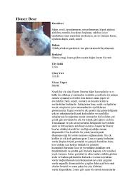 honey bear evcil hayvanlar hayvan renkler