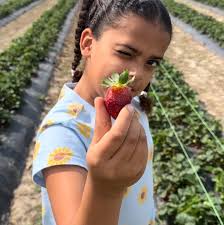 El Paso Mexican Grill Youngsville