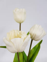 White flowers that look like tulips. Real Touch Tulip White Desflora