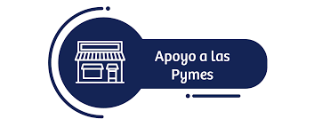 Conoce los 56 rubros que recibirán $1 millón automáticamente y cómo puedes ¿cómo postular al bono alivio pymes? Bono Pyme 2021 Chile Cortes Carrasco