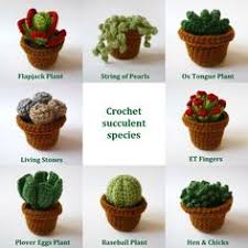 Please contact us if you want to publish a why is my cactus dying. 27 Things To Do Ideas Crochet Plant Crochet Succulent Crochet Cactus