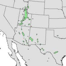 Maybe you would like to learn more about one of these? Acer Grandidentatum Wikipedia