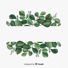 Well you're in luck, because here they come. Eucalyptus Leaves Images Free Vectors Stock Photos Psd