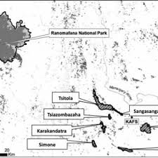 Pdf Determination De Quelques Aspects De L Ecologie De Daubentonia Madagascariensis Gmelin 1788 Dans Deux Forets Malgaches La Reserve Speciale De Manombo Sud Est Et La Foret De Beanka Centre Ouest De Madagascar