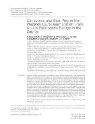 Pdf Carnivores And Their Prey In The Wezmeh Cave Kermanshah Iran A Late Pleistocene Refuge In The Zagros