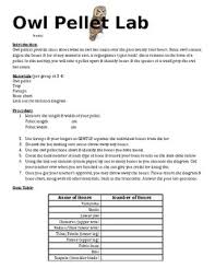Owl Pellet Bone Chart Worksheets Teaching Resources Tpt