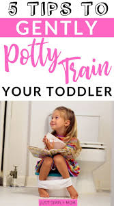 5 Tips To Gently Potty Train Your Toddler Toddler Potty Training Potty Training Girls Potty Training Tips