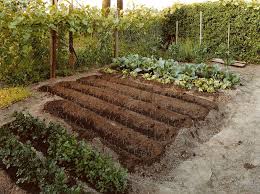 Plants And Gardens Plants Outdoor Gardens Landscape