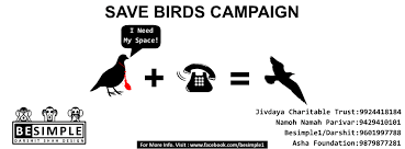 Helpline For Bird Rescue In Ahmedabad Uttarayan Or Makar Sankranti Is Just A Few Days Away And Most Amdavadis Are Supe Makar Sankranti Kite Festival Awareness