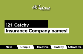 Essentially an investor and underwriter. 121 Trusty Insurance Company Name Ideas To Create More Trust
