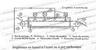 La Congelation Surgelation Genie Alimentaire