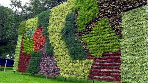 Ia memundurkan mobilnya sehingga tangannya bisa menyentuh pagar itu. 9 Pagar Tanaman Membuat Rumah Makin Cantik Rumah Com Rumah Com