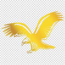 This one took a long time, getting random as shapes inside the eagle. Eagle Wing Yellow Golden Eagle Bird Logo Accipitridae Bird Of Prey Symbol Falconiformes Hawk Transparent Background Png Clipart Hiclipart