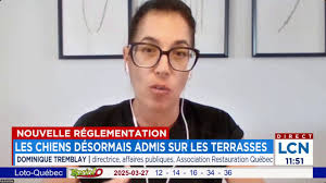 Les chiens admis sur les terrasses: entrevue avec Dominique Tremblay