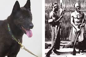 Chinese culture chinese art chinese garden foo dog tattoo dog tattoos tatoos japanese foo admired in japan and korea as much as in china, the animal statues combine artistic achievement. An Ancient Dog Finds Its Place In The Modern World Taiwan Business Topics