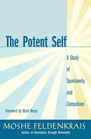 Maybe you would like to learn more about one of these? 6 Best Books By Moshe Feldenkrais To Read In 2021