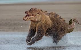 Imgur The Most Awesome Images On The Internet Photoshopped Animals Animal Mashups Bizarre Animals