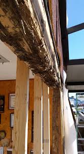 Champion termite & pest control is both locally owned and operated and features more than 30 years of experience within the pest control industry. Champion Pest Management Inc Home Facebook