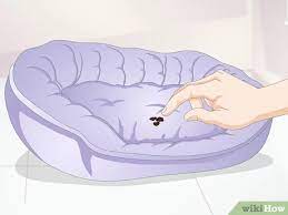 In this article of how to wash a dog bed, you will get proper guidelines with 14 easy instructions and simple steps to wash your canine bed. How To Clean A Dog Bed 15 Steps With Pictures Wikihow