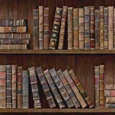 We did not find results for: Book Shelves Wallpaper By Mindthegap Do Shop