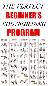 the perfect beginners bodybuilding program beginner