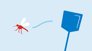 Klik op accepteren om gebruik te maken van een goed functionerende website. Aziatische Tijgermug In Nederland In60seconds