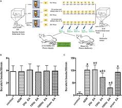 With this generator it is possible to generate an ean number. 100 Hz Electroacupuncture Alleviated Chronic Itch And Grpr Expression Through Activation Of Kappa Opioid Receptors In Spinal Dorsal Horn Abstract Europe Pmc