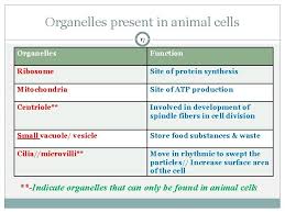 Check spelling or type a new query. 2 0 Cell Structures Functions 1 By Nur