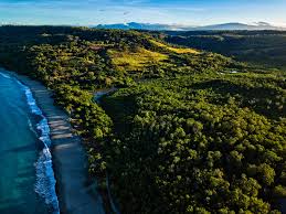 Maybe you would like to learn more about one of these? What S It Like Being A Jamaican Living In Costa Rica