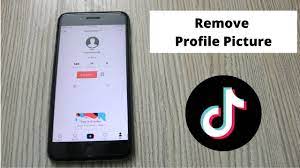 How To Remove Profile Picture On Tiktok On Phone 2021 Youtube