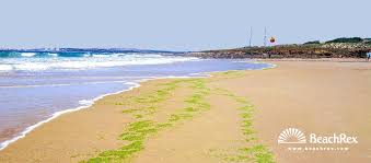 Sine sin θ = a / c n. Praia De Morgavel Sines Setubal Portugal Beachrex Com