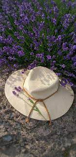 Pin By Patricia Martin On Lavanda Beautiful Flowers Flower Landscape Lavender